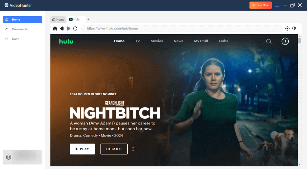 VideoHunter Hulu Video Downloader
