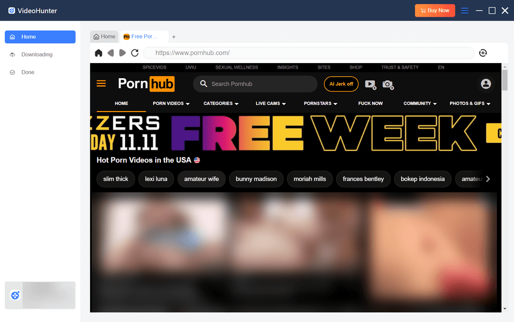  VideoHunter PornHub Account Log-in