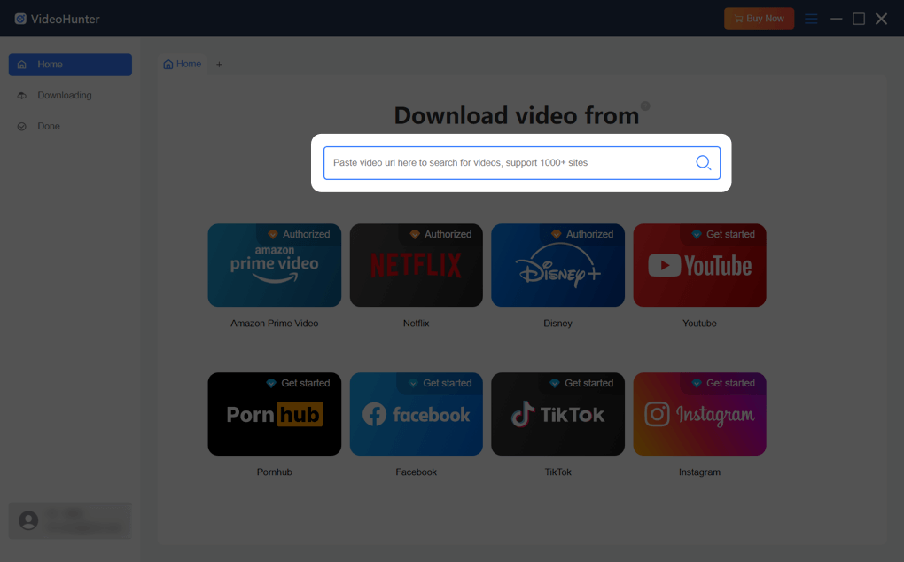 Paste the URL to VideoHunter