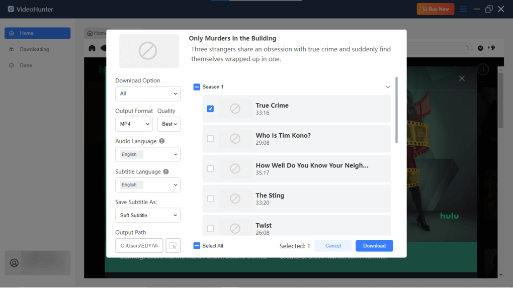 Adjust Hulu Video Output Settings