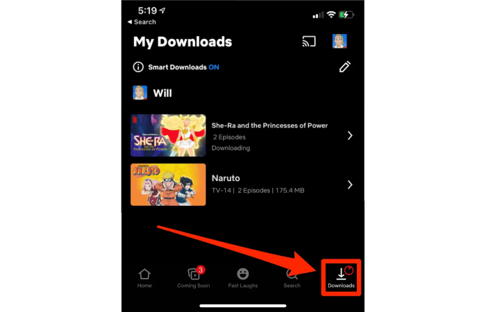 Watch Netflix Download on an iPhone