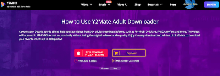 Y2mate Pornhub to MP4 Converter